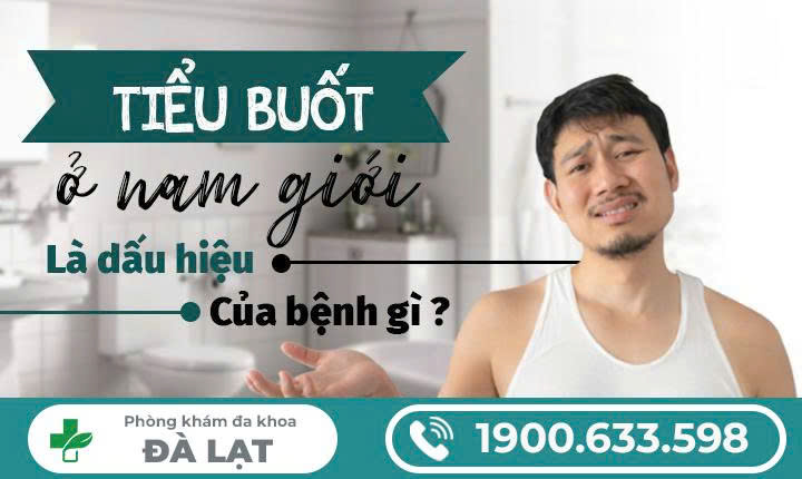 Hình ảnh minh họa